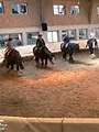 Au galop ! Une saison à cheval