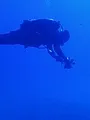 Trésors sous les mers