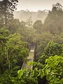 Les trésors naturels de Bornéo