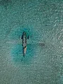 Trésors sous les mers