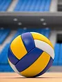 Volley-ball : le film des finales LNV