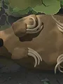 Kiri & Lou S1 E6