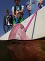 Wildernis onder water