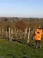 Au saut du Layon
