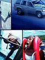 Sur le vif : vidéos insolites