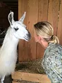 Hélène et les animaux