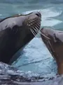 Au coeur du zoo de New York