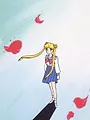 Sailor Moon S2 E31