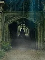 Vampire de Highgate : le cimetière maudit
