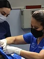 Dr Pimple Popper