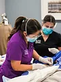Dr Pimple Popper