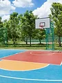 Basket-ball