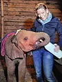 unterwegs - Kenia