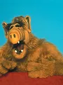 Alf S4 E13