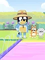Bluey S3 E46
