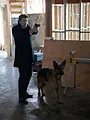 Hudson et Rex S1 E1