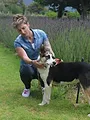 Un chien pour la vie