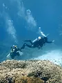 Thalassa, aventures extrêmes