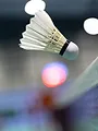 Badminton : Internationaux de France