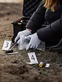 Au coeur du crime