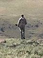 Afrique du Sud, La vraie sauvage
