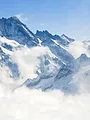 Chroniques méditerranéennes