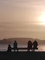 Enfants de Pieds-Noirs, enfants du divorce