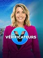 Les Vérificateurs