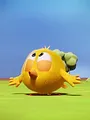 Where's Chicky? S1 E15