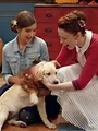 Sept nains et moi S2 E23
