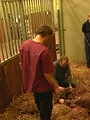 Dierendokters 24/7