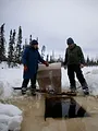 Alaska : nouvelle vie