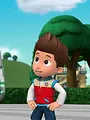 Paw Patrol, la Pat'Patrouille S10 E5