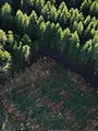 L'écologie près de chez nous