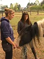 Au galop ! Une saison à cheval