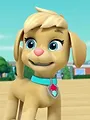 Paw Patrol S9 E13