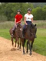 Au galop ! Une saison à cheval