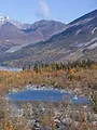 Alaska : nouvelle vie