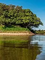 Ed Stafford : Seul au monde