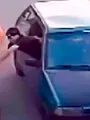 Sur le vif : vidéos insolites
