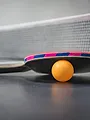 Tennis de table : WTT China Smash