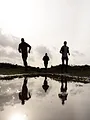 Québec Mega Trail. Les meilleurs moments