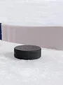 Hockey sur glace : Ligue Magnus