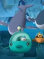 Les Octonauts S3 E5