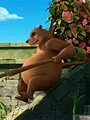 Le livre de la jungle S3 E47
