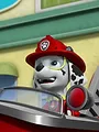 Paw Patrol S6 E22
