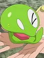 Pokémon : XY S19 E14