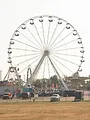 Telefacts Zomer