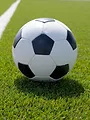 Young Boys Berne / FC Bâle