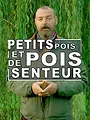 Petit pois et pois de senteur